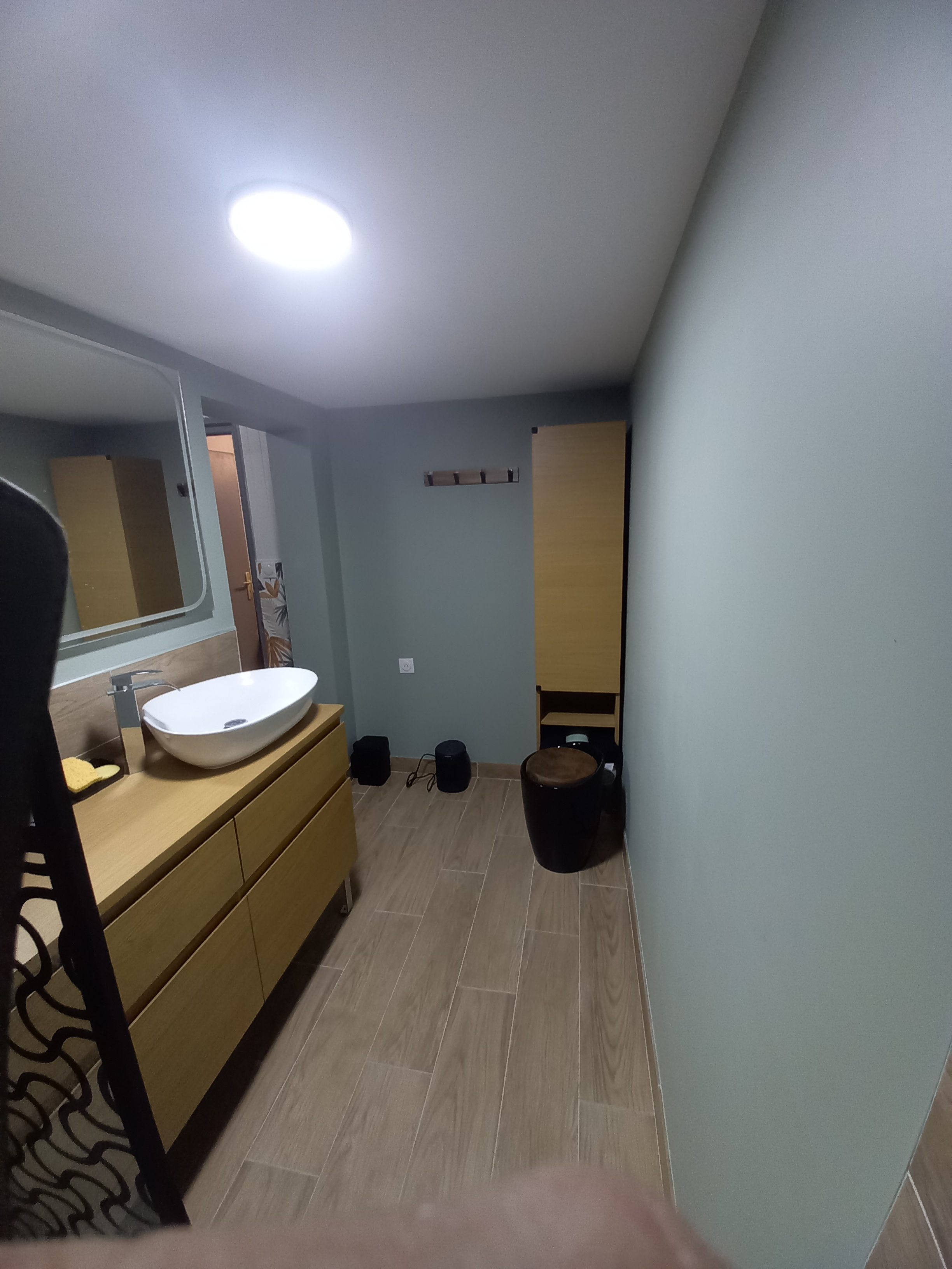 Salle de bain vue de la douche