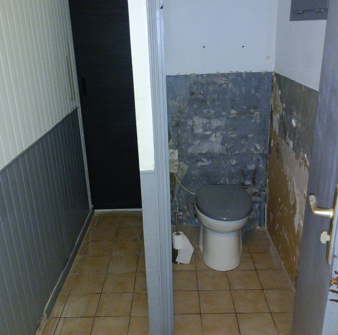 Hall et Toilette Saint venant Avant